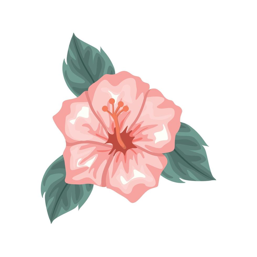 beau design d'hibiscus avec des feuilles vertes vecteur