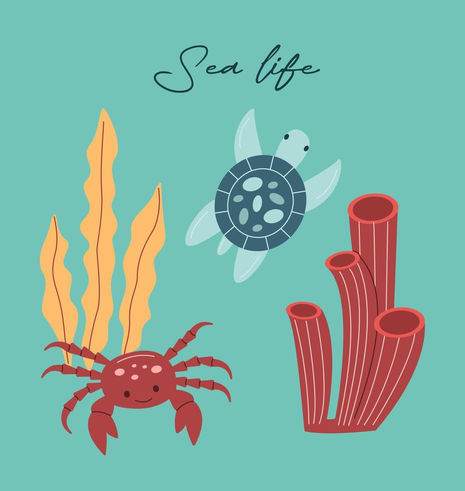 vecteur mer la vie affiche avec caractères mer la vie et crabe, tortue, algue. dessin animé illustration.