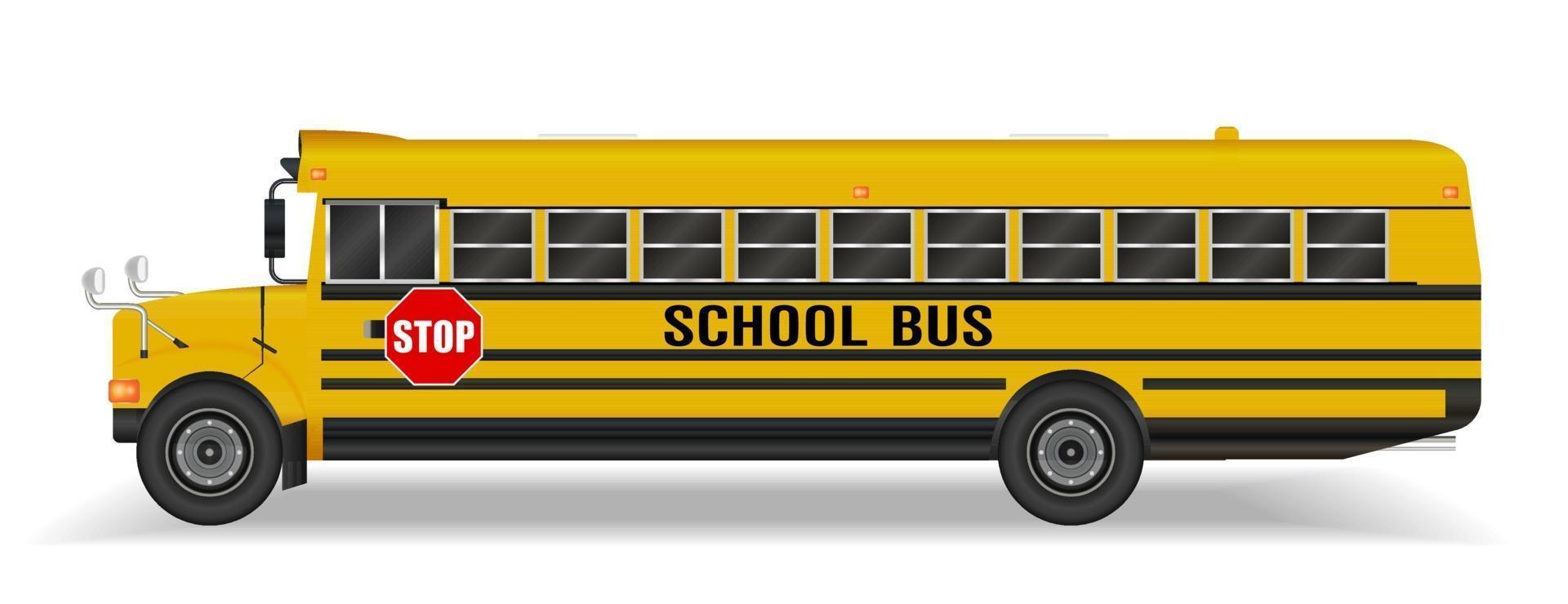 vrai bus scolaire sur fond blanc vecteur