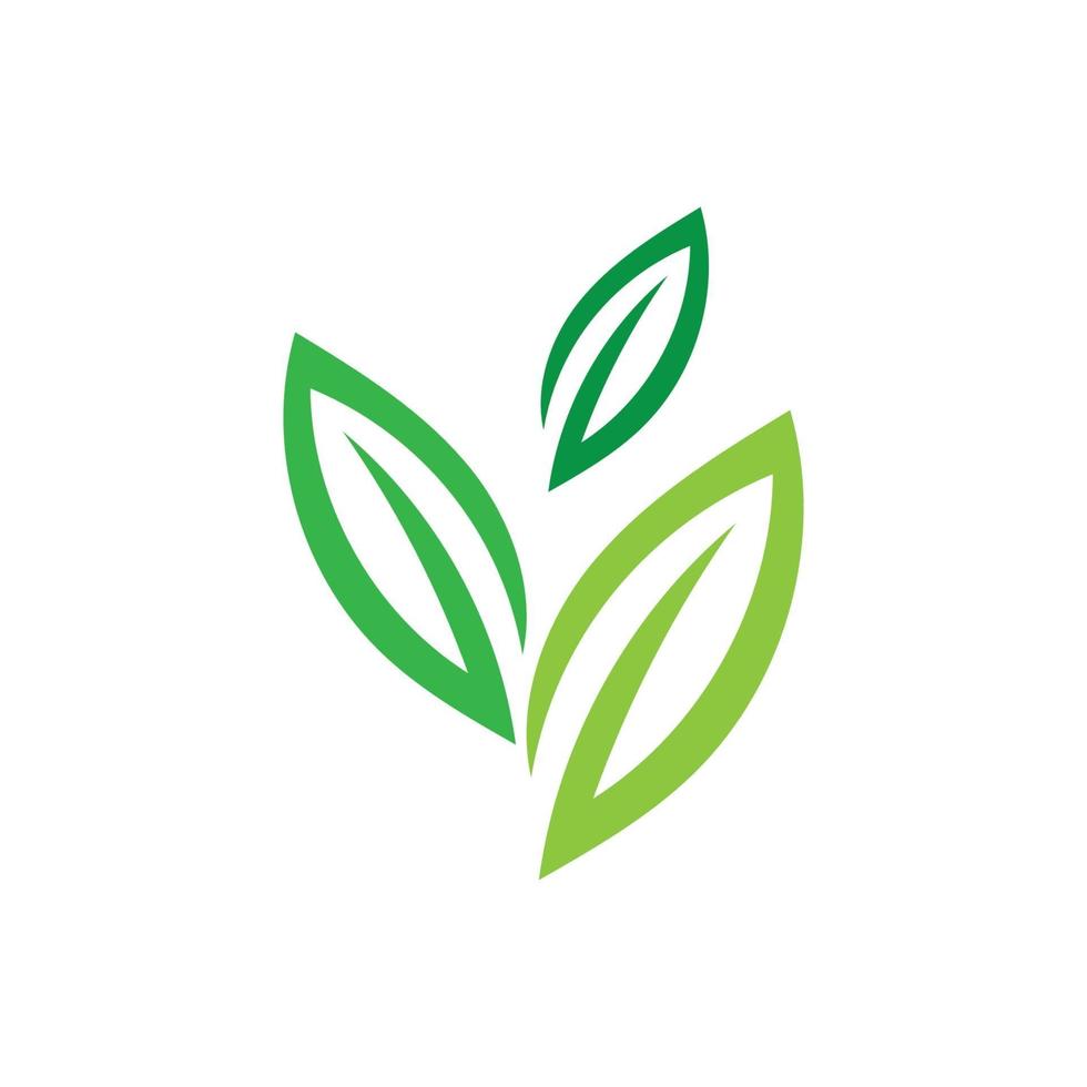 écologie de la nature logo feuille verte vecteur