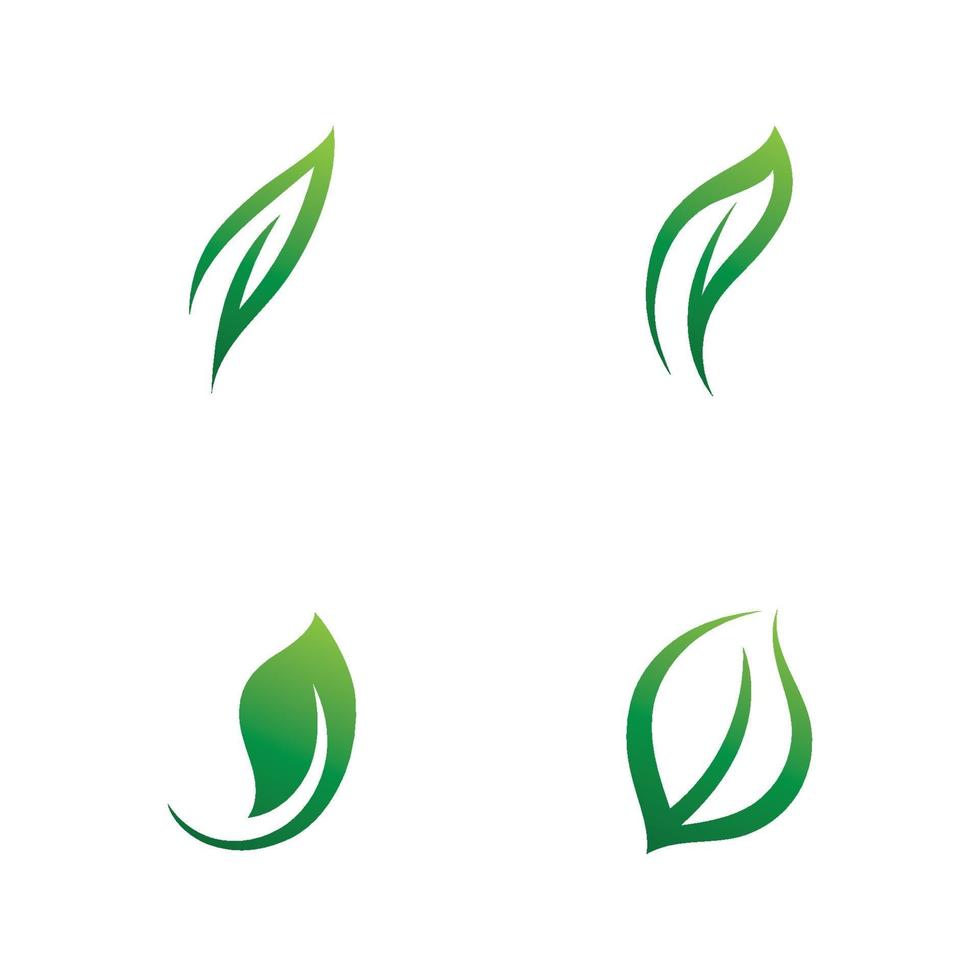 logos de l'écologie des feuilles d'arbre vert vecteur