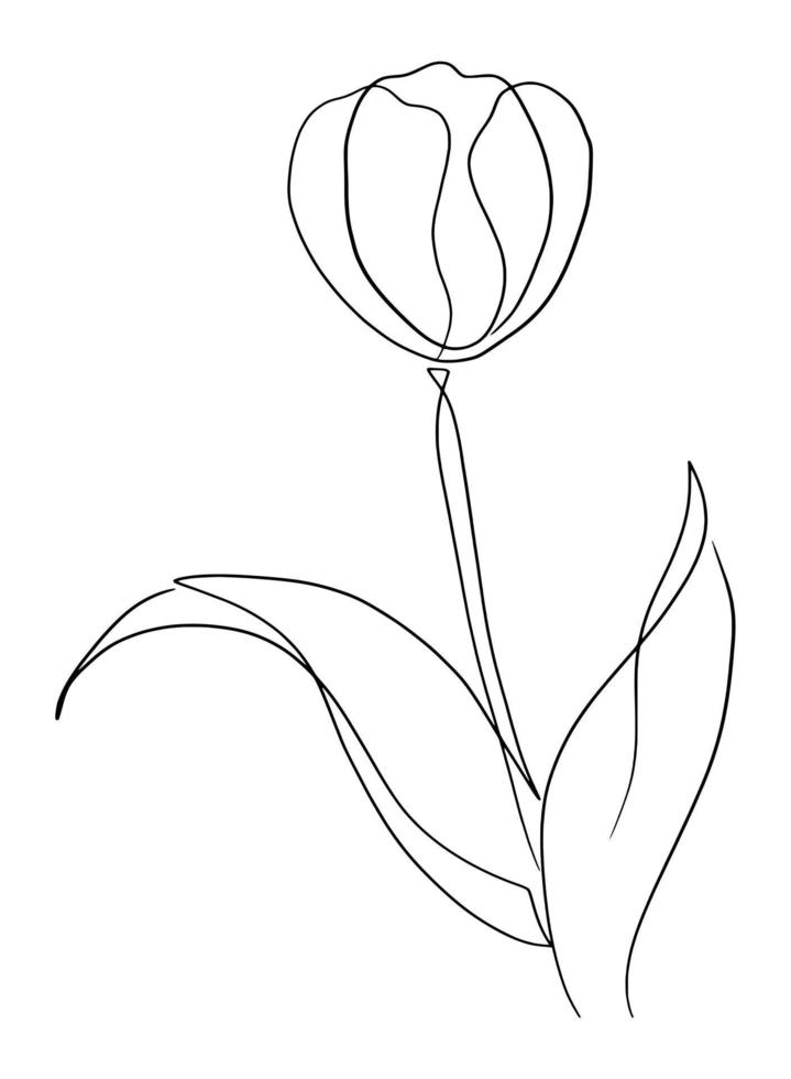 tulipes ligne art dessin vecteur