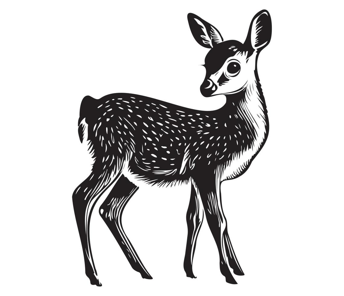 illustration de Jeune cerf, bébé cerf icône noir et blanc vecteur