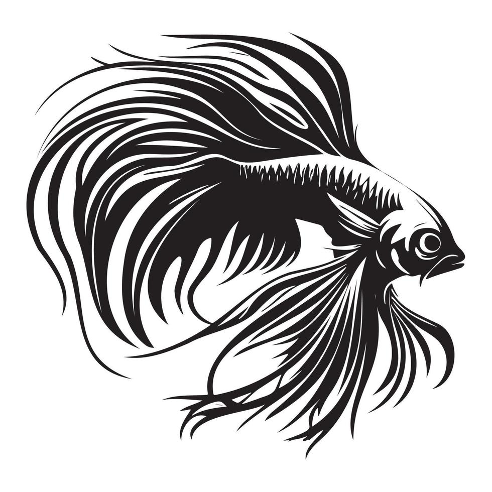 betta poisson vecteur illustration, combat poisson logo conception