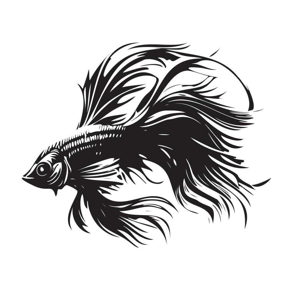 betta poisson vecteur illustration, combat poisson logo conception