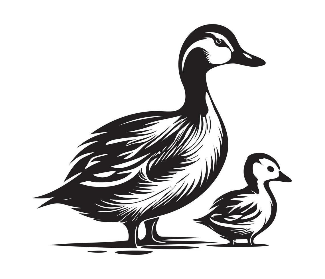 canard avec caneton, maman et bébé canard, canard nager dans le Lac illustration vecteur