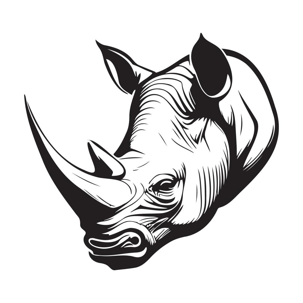 tête de rhinocéros vecteur illustration, rhinocéros logo
