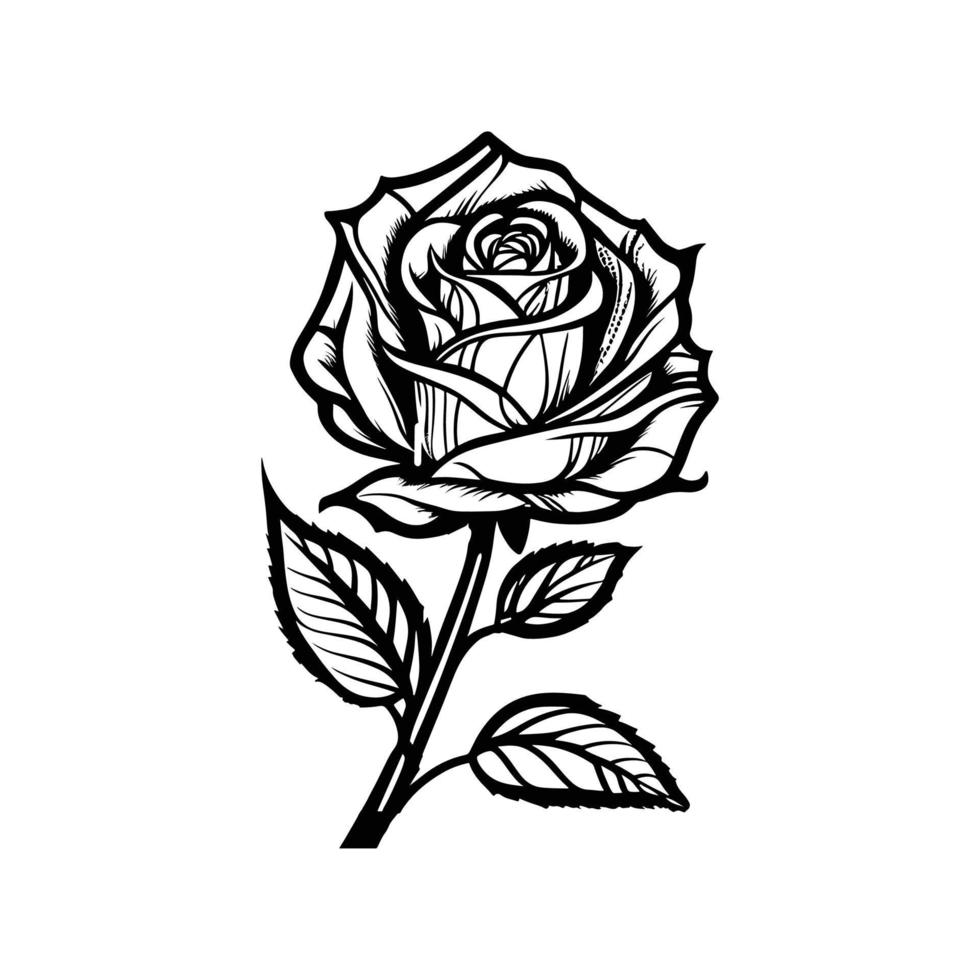 main tiré des roses. esquisser Rose fleurs avec feuilles. noir et blanc ancien gravure vecteur botanique