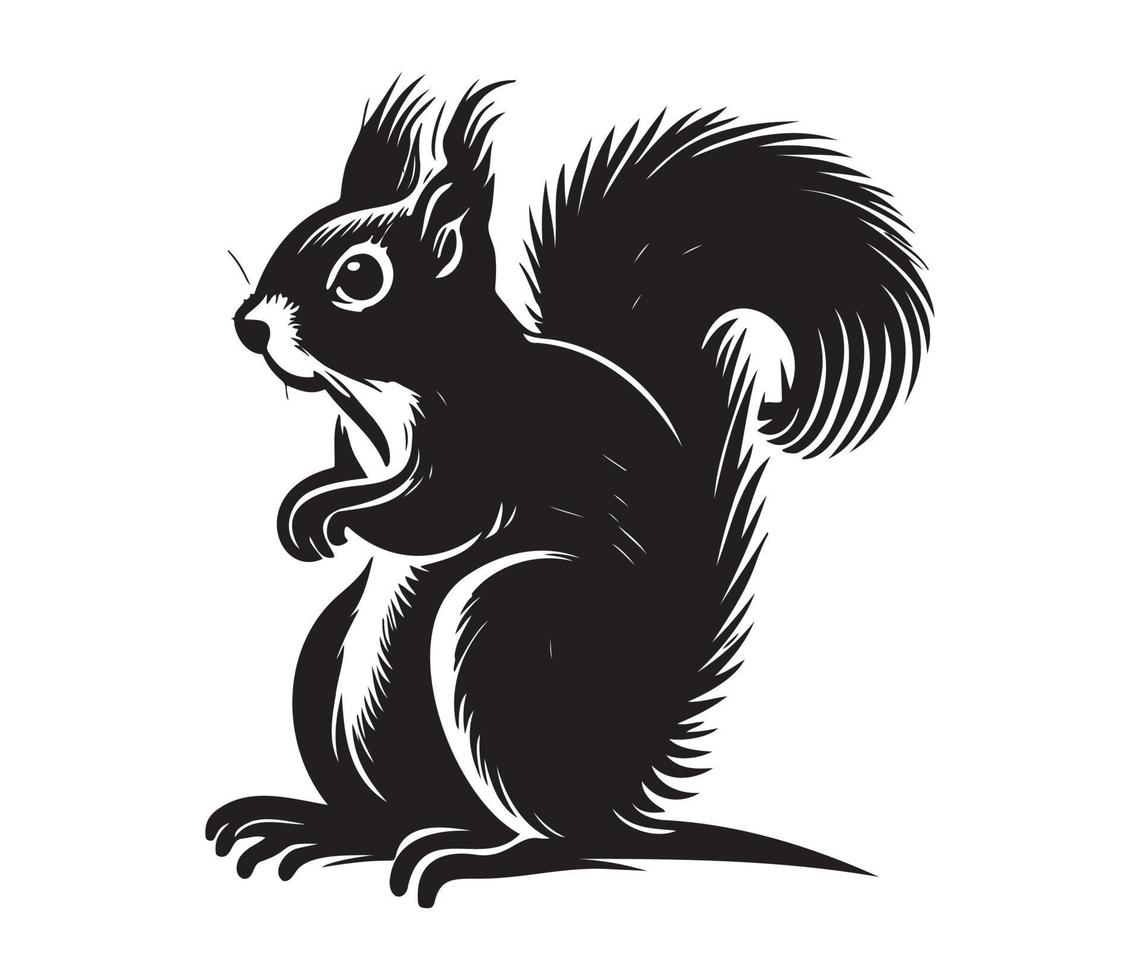 écureuil affronter, silhouettes écureuil affronter, noir et blanc écureuil vecteur