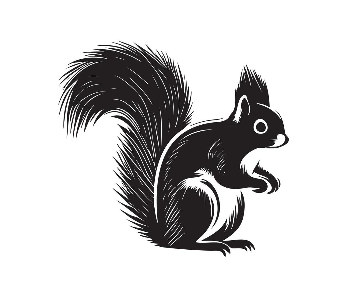 écureuil affronter, silhouettes écureuil affronter, noir et blanc écureuil vecteur