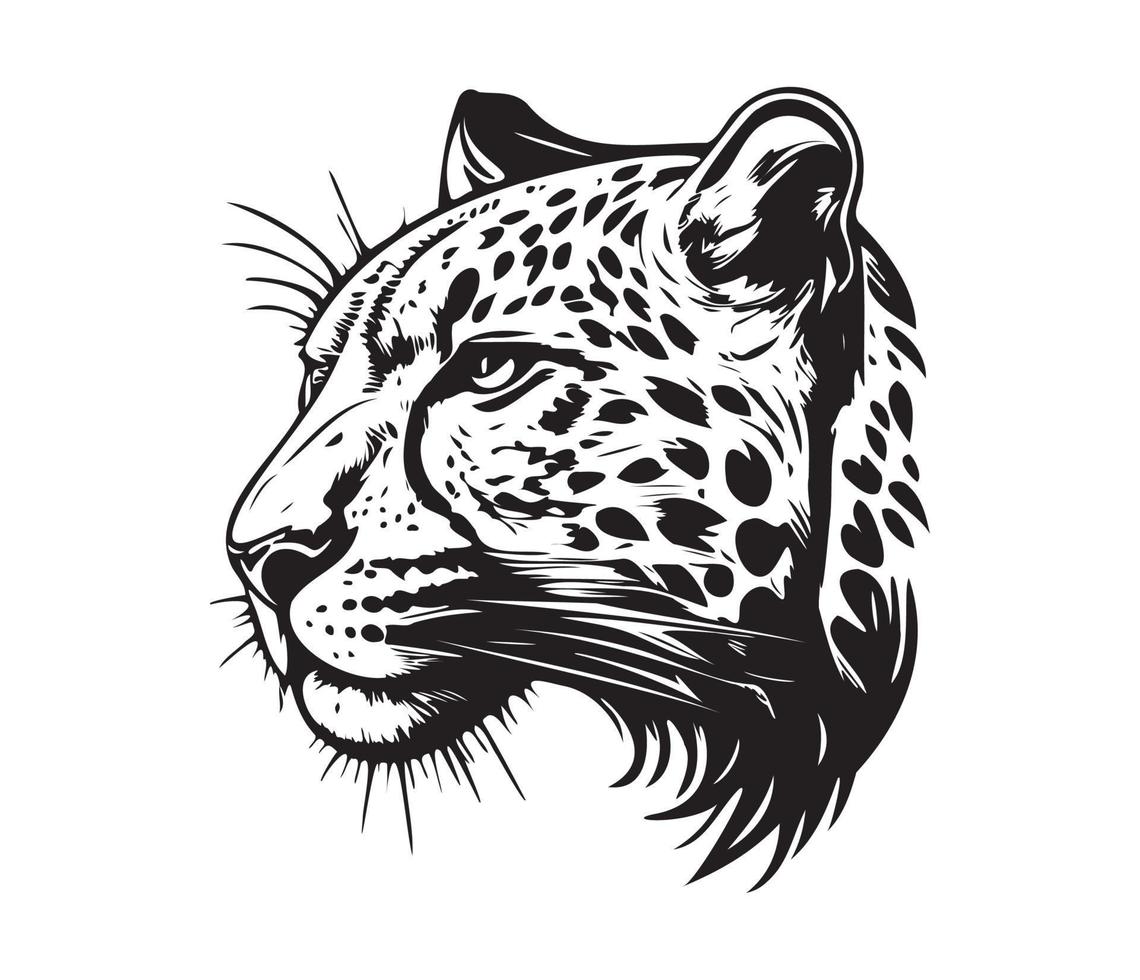 léopard affronter, silhouettes léopard affronter, noir et blanc léopard vecteur