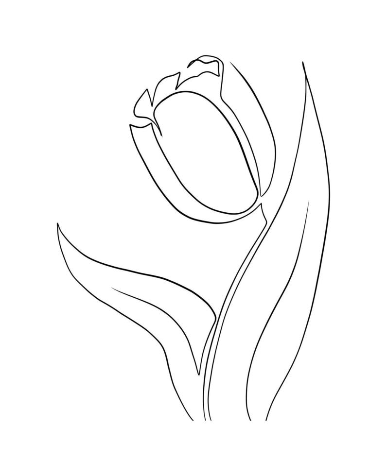 tulipes ligne art dessin vecteur