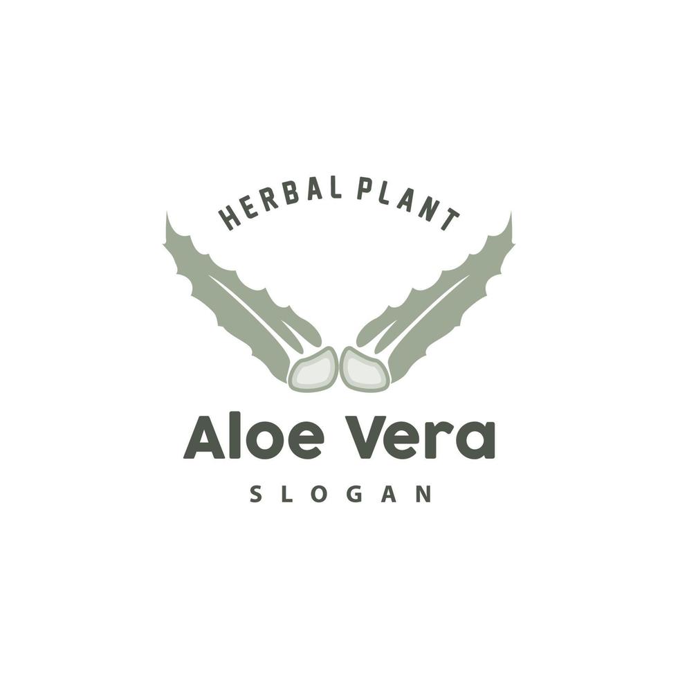 aloès Vera logo, à base de plantes plante vecteur, illustration symbole icône Facile conception vecteur