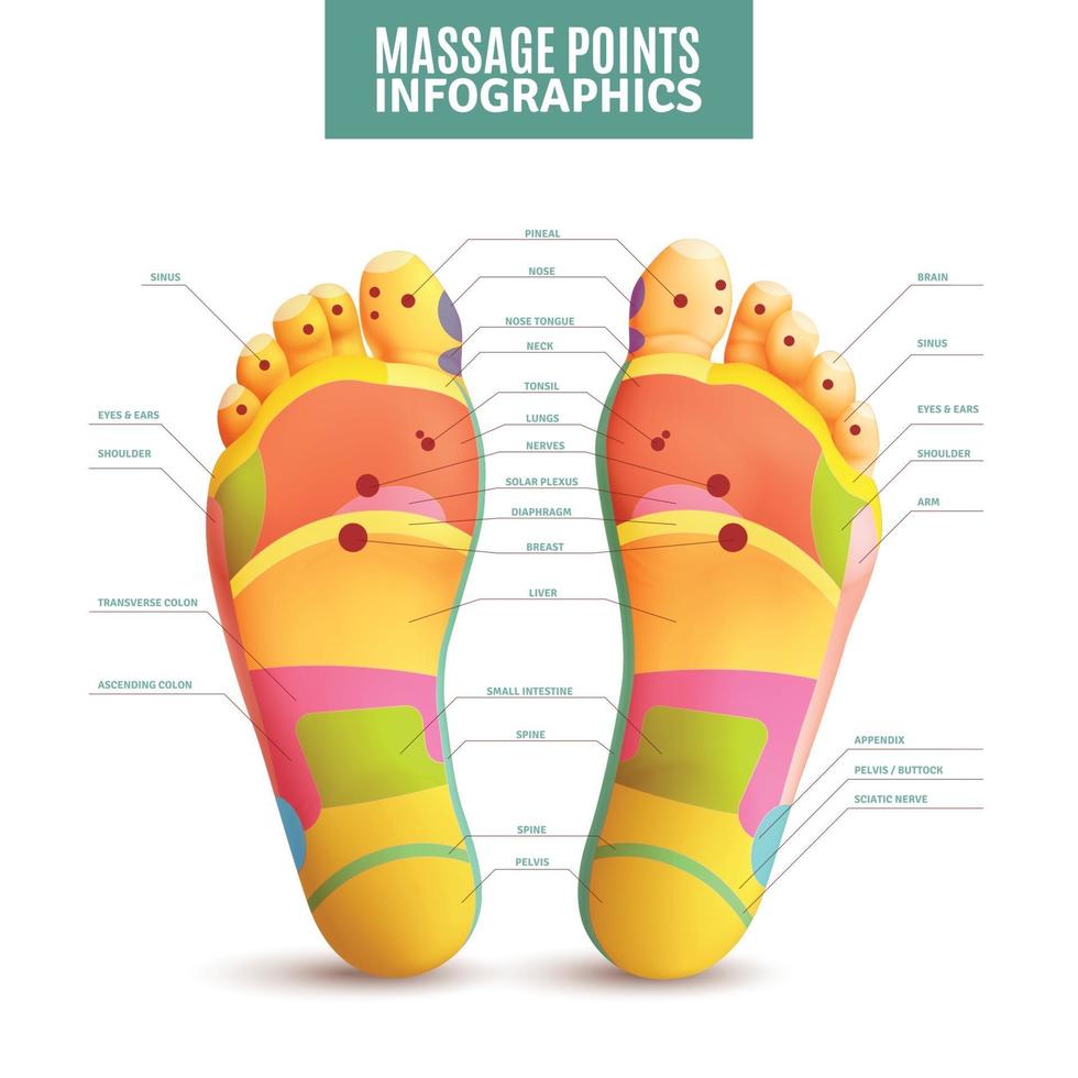 illustration vectorielle de points de massage des pieds infographie vecteur