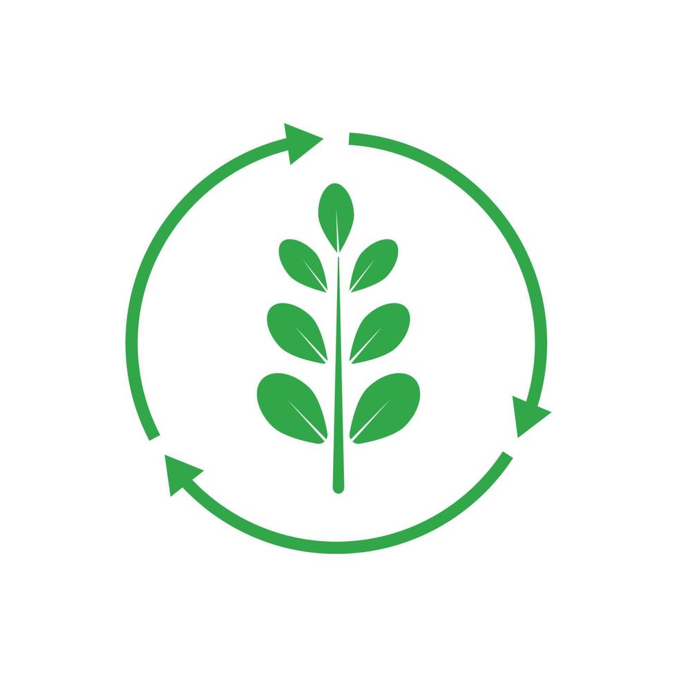 logo de feuille de moringa vert, pour les ingrédients à base de plantes, l'agriculture de moringa, la santé, l'industrie de la médecine, la beauté, la thérapie, le modèle d'icône d'illustration vectorielle de conception de concept avec un concept moderne vecteur