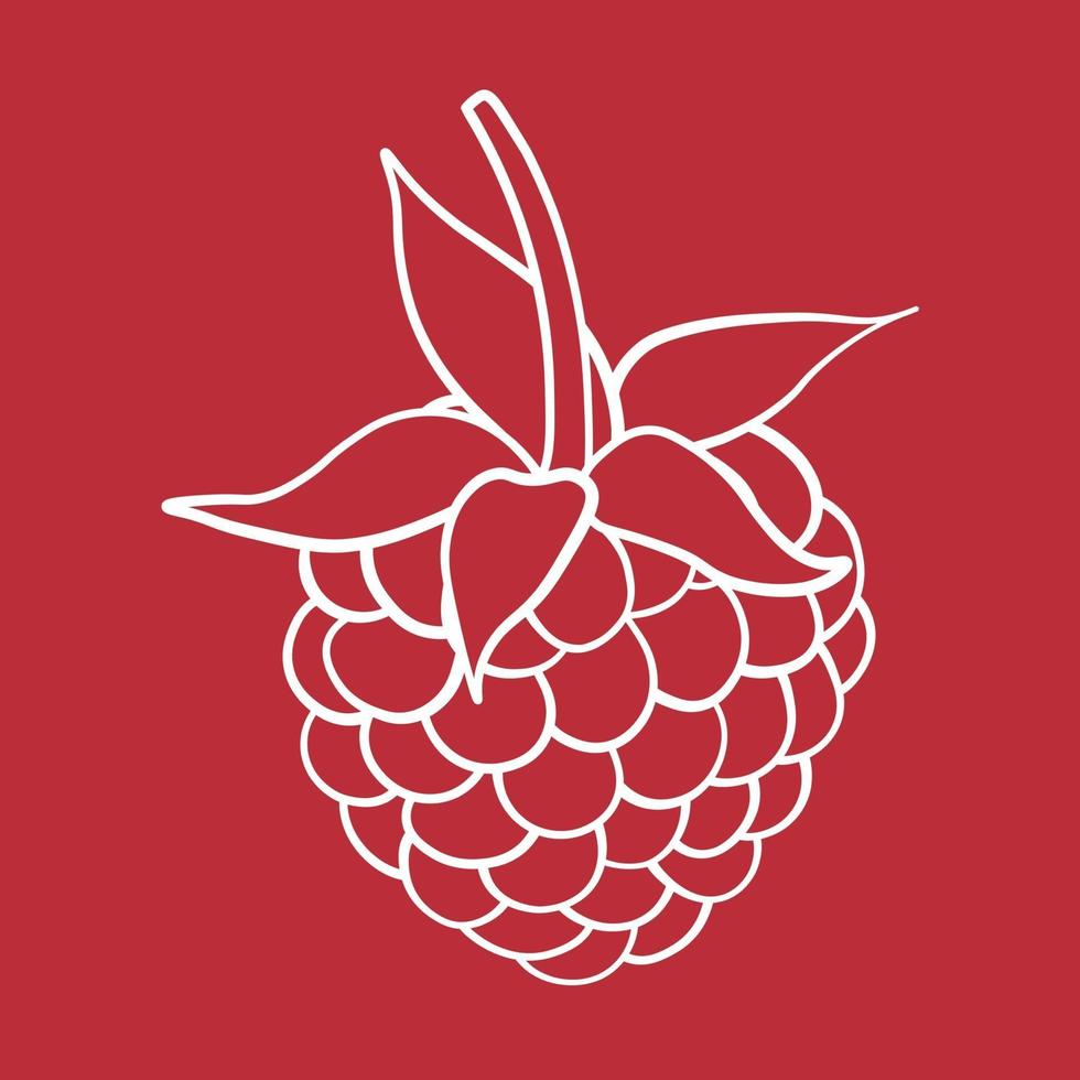 illustration de fruits sucrés framboise pour le web isolé sur fond blanc vecteur