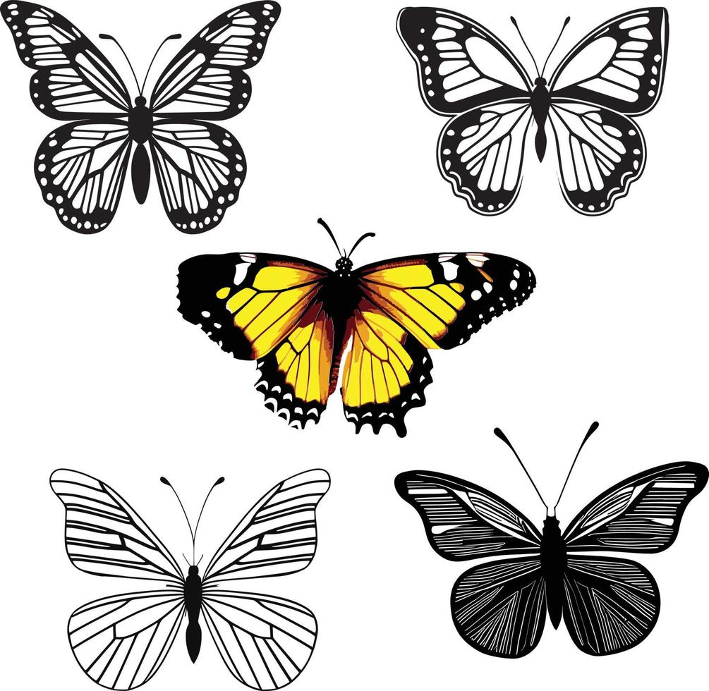 papillon ligne art dessin vectoriel