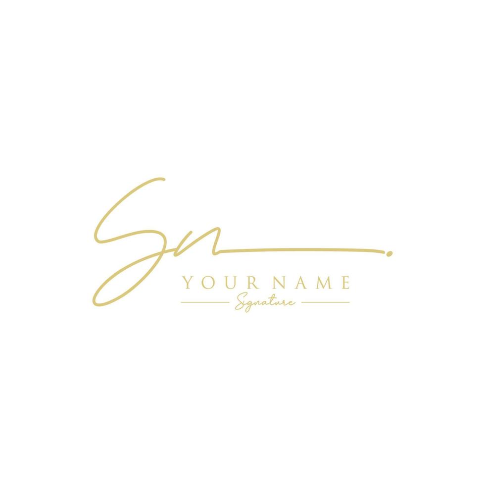 lettre sn signature logo template vecteur