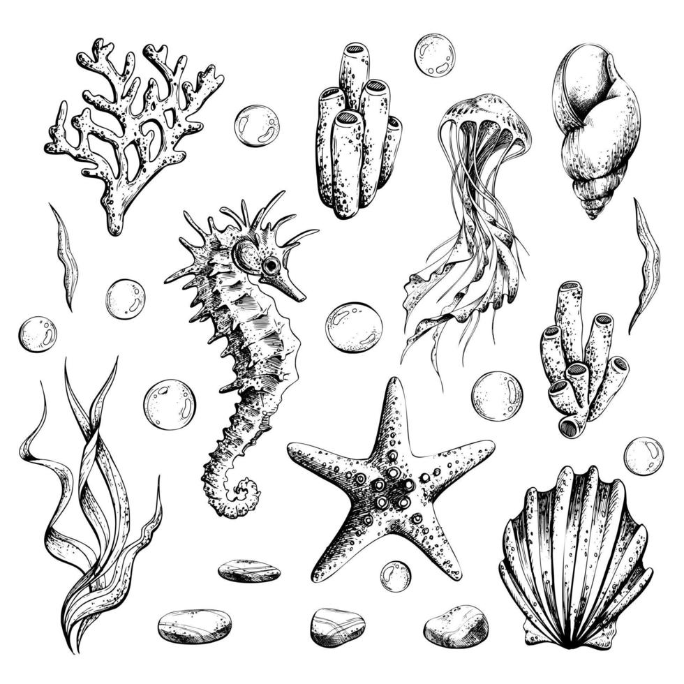 Marin ensemble de isolé des illustrations sur une blanc Contexte hippocampe, méduse, coquilles, algues, coraux, bulles, galets et étoile de mer. main tiré illustration dans graphique, eps vecteur déposer.