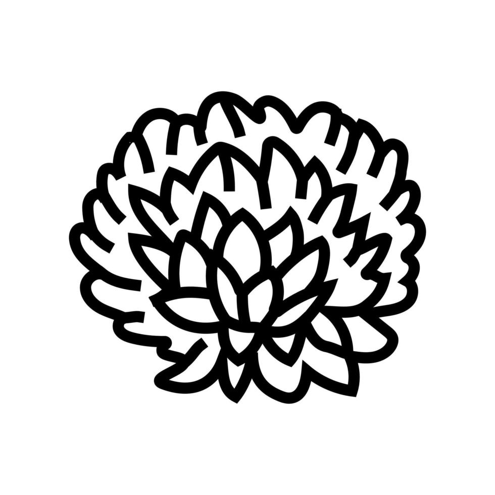 chrysanthème fleur printemps ligne icône vecteur illustration