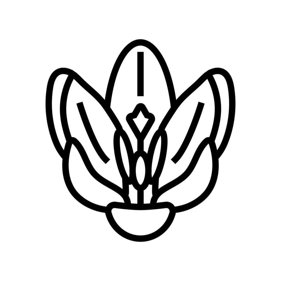 crocus fleur printemps ligne icône vecteur illustration