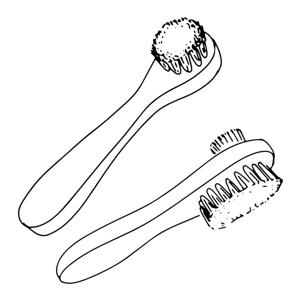 ensemble de une en bois brosses dans ligne art style. de face côté voir. vecteur Facile plat graphique illustration. isolé objet sur une blanc Contexte.