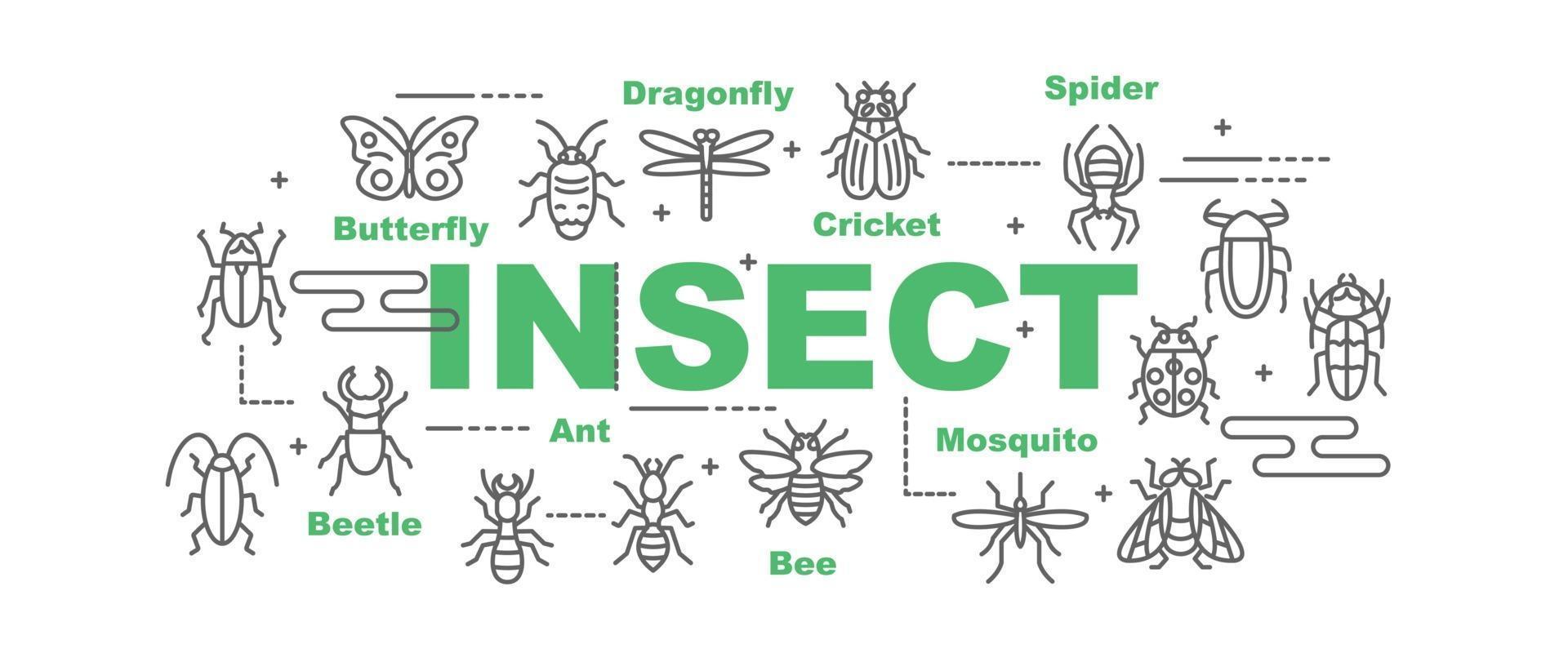 bannière de vecteur insecte