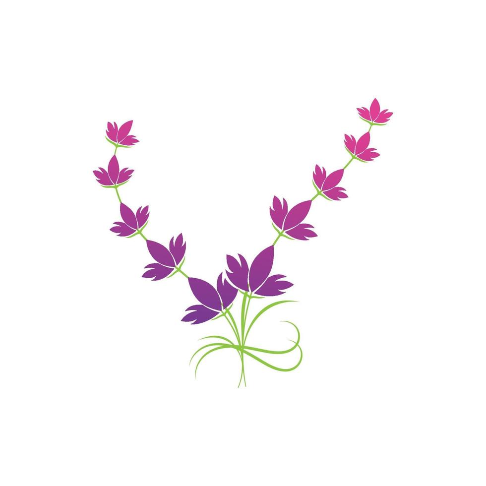 modèle de symbole de logo de fleur de lavande vecteur