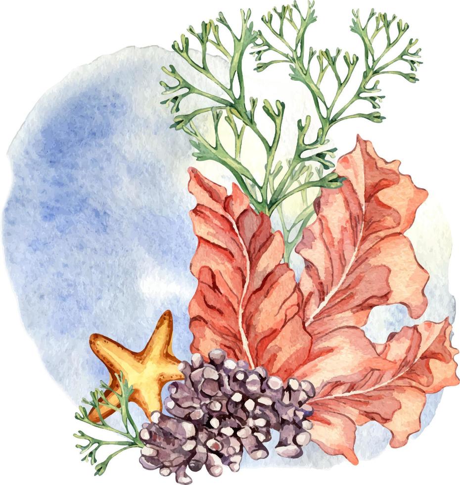 composition de coloré mer les plantes aquarelle illustration isolé sur blanche. vecteur