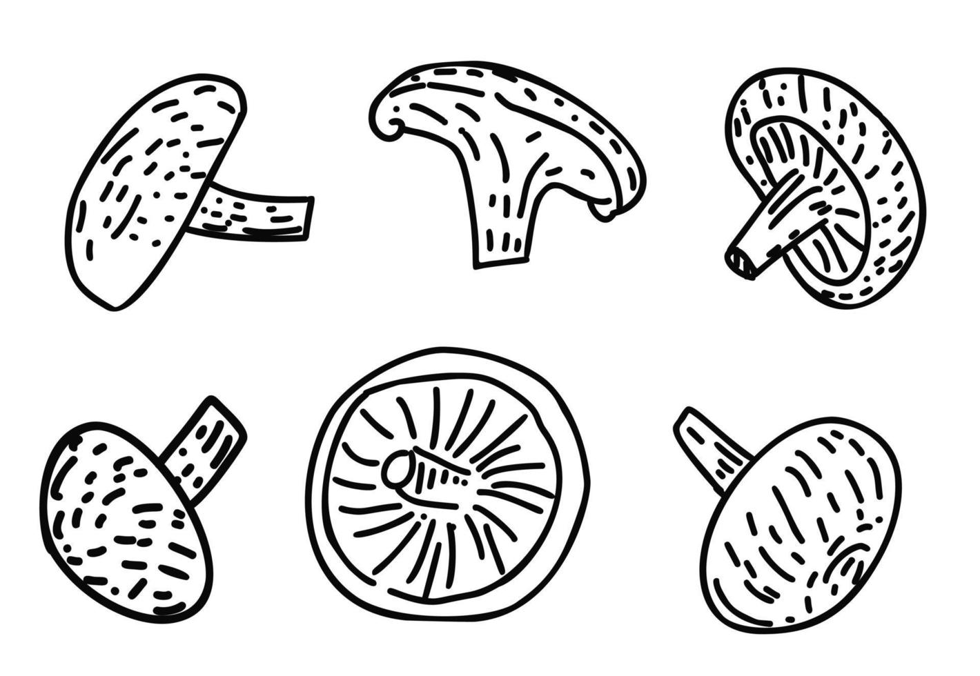 produits de champignons. illustration vectorielle. vecteur