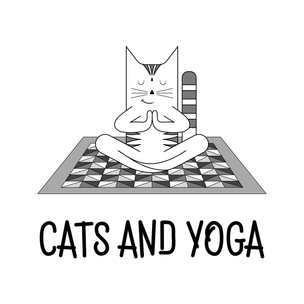 chat mignon fait du yoga vecteur