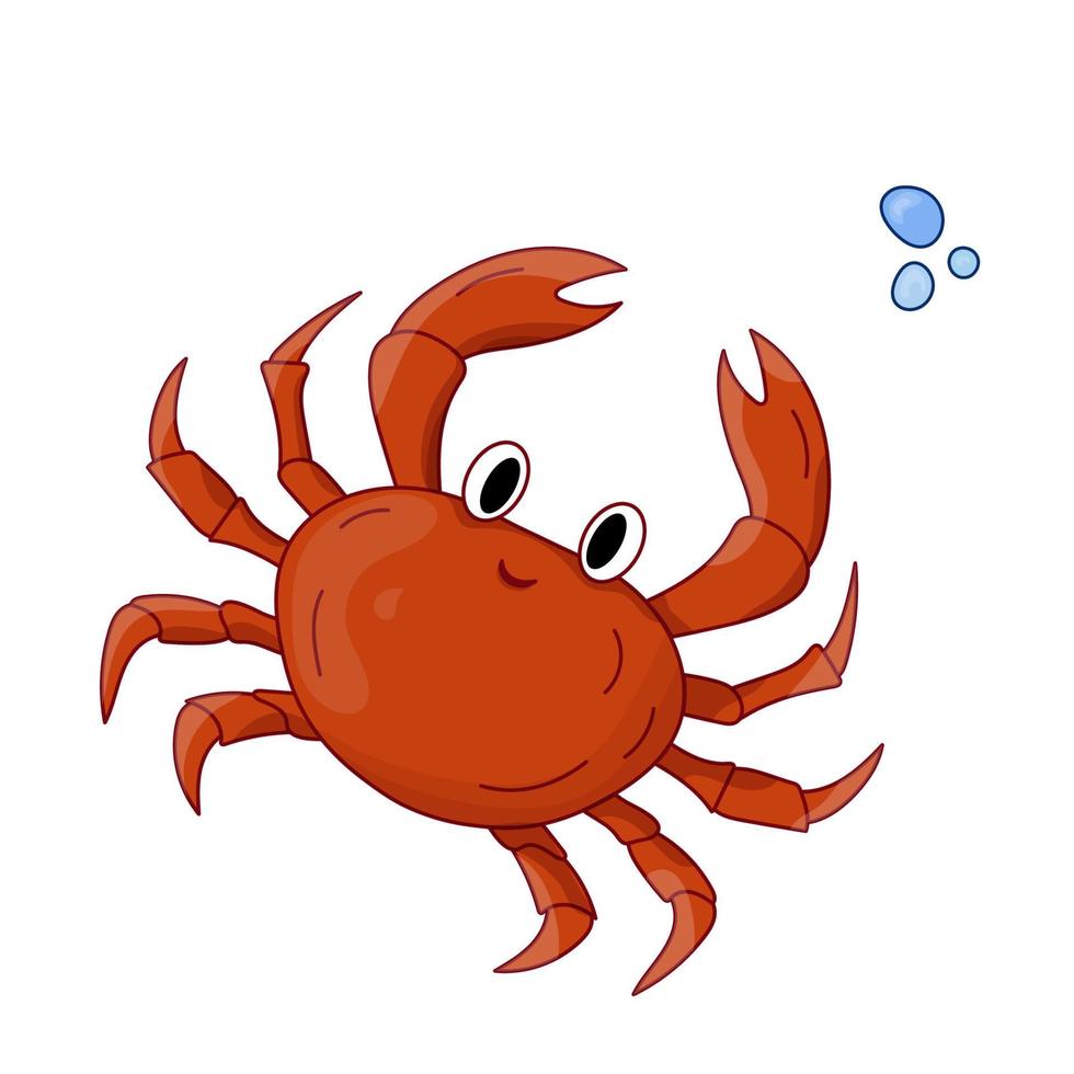 dessin animé vecteur illustration rouge crabe. océan habitant. nautique isolé crabe, mer animaux concept.