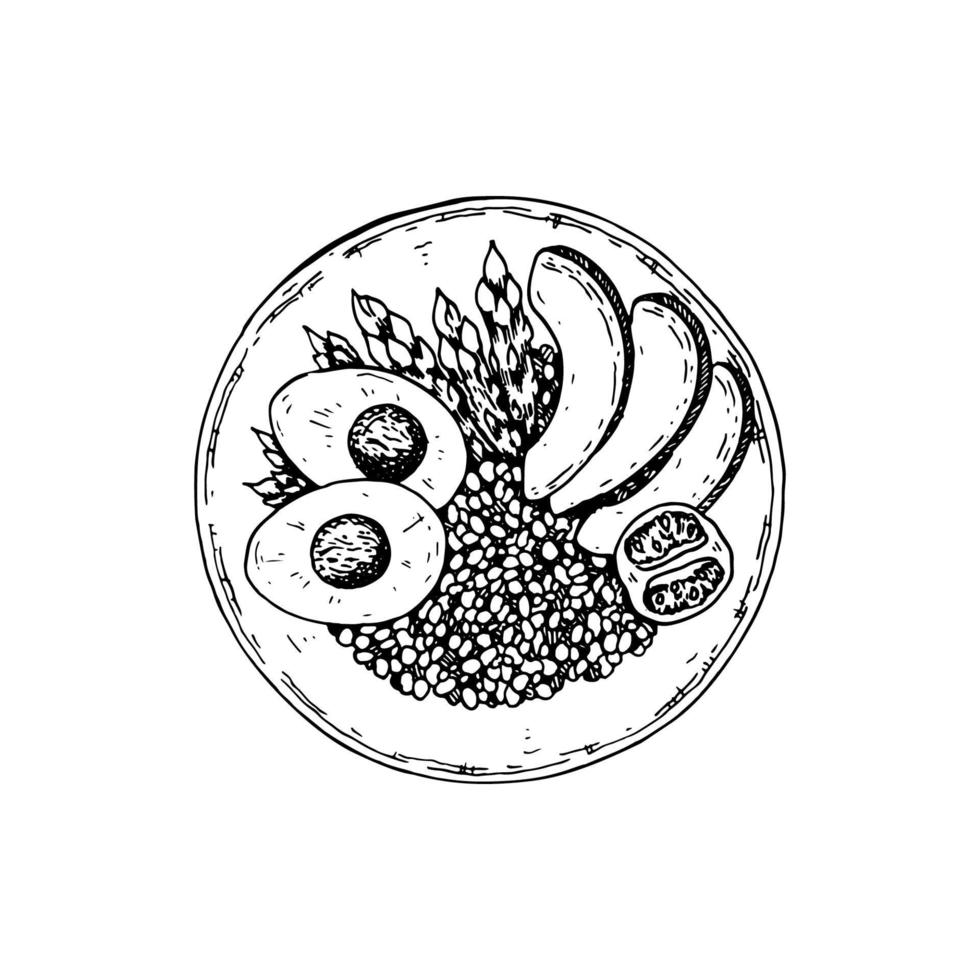 bol de quinoa dessiné à la main isolé sur fond blanc. illustration vectorielle dans le style de croquis. vecteur