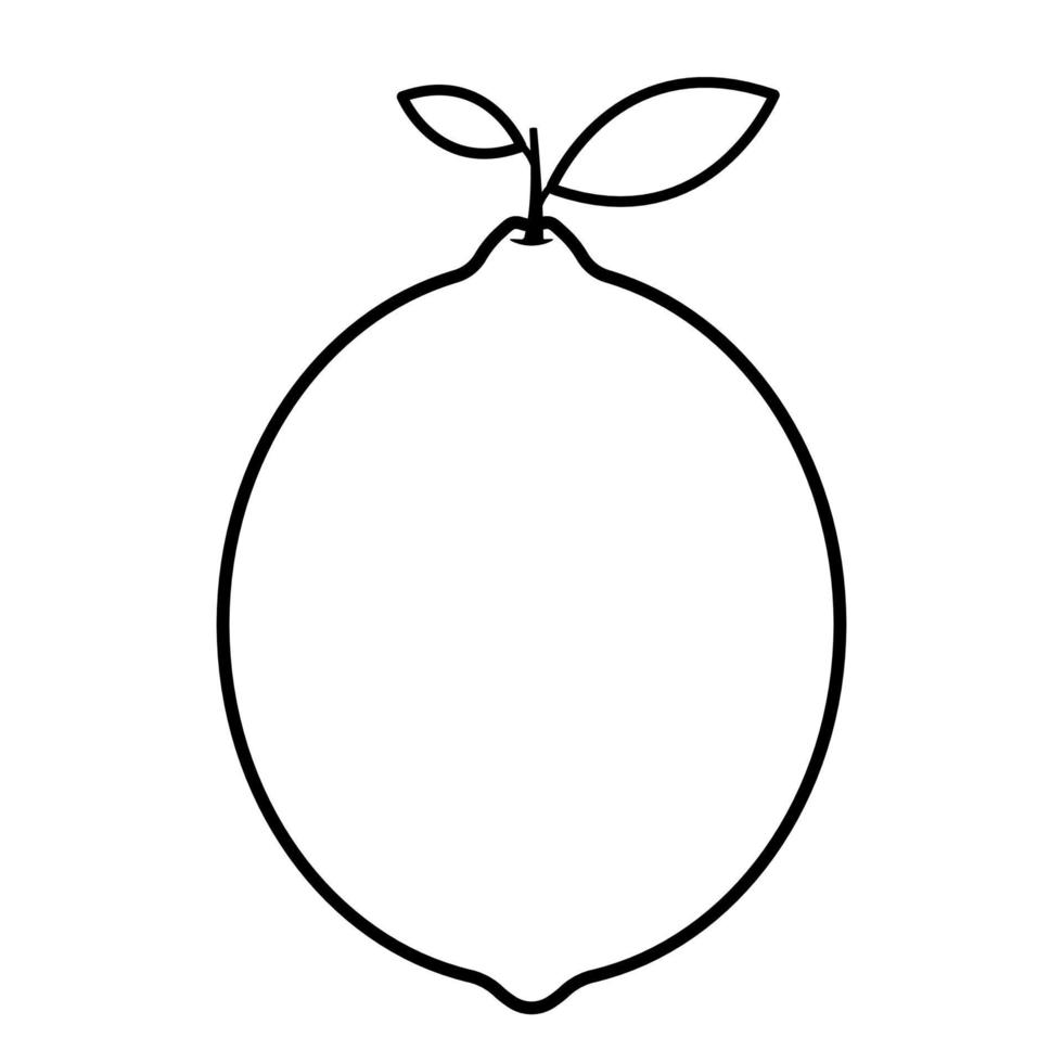 citron vert ligne dessin icône fruit vecteur illustration