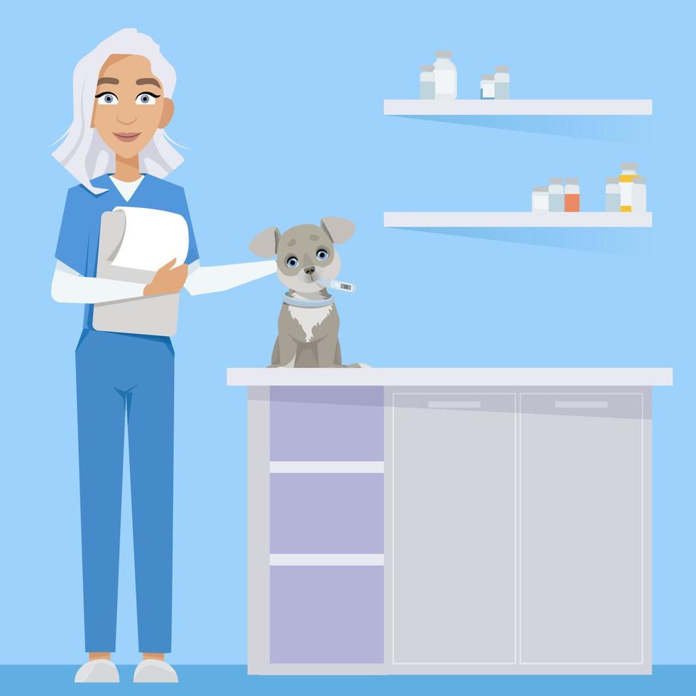 femme vétérinaire à l'intérieur dans vétérinaire clinique avec chien vecteur