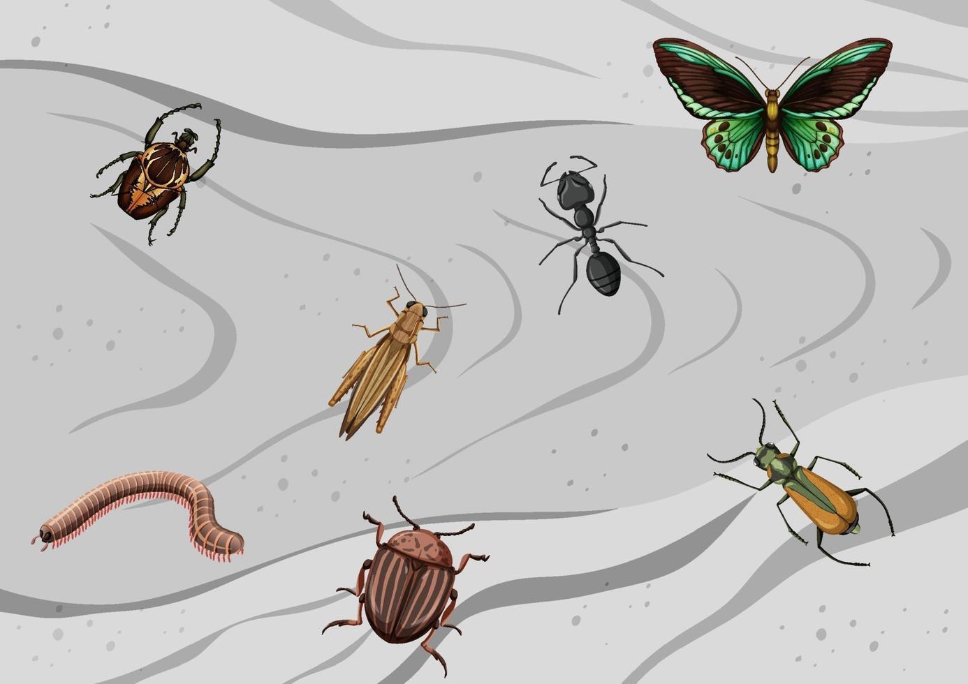 vue de dessus de différents types d'insectes vecteur