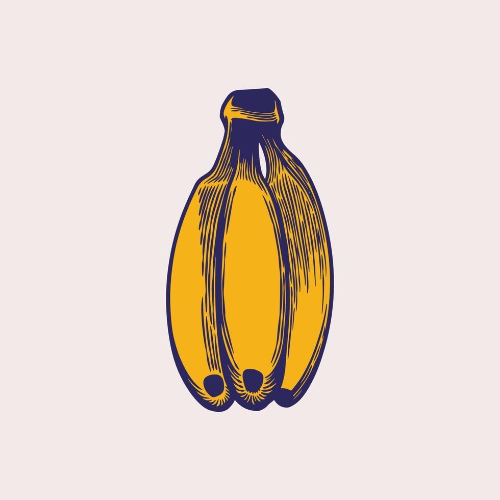 gravure vintage dessinée à la main de banane. fruits jaunes, un régime de bananes. fruits tropicaux, collation à la banane ou thème de la nutrition végétarienne dans des croquis rétro isolés. art illustration vectorielle vecteur