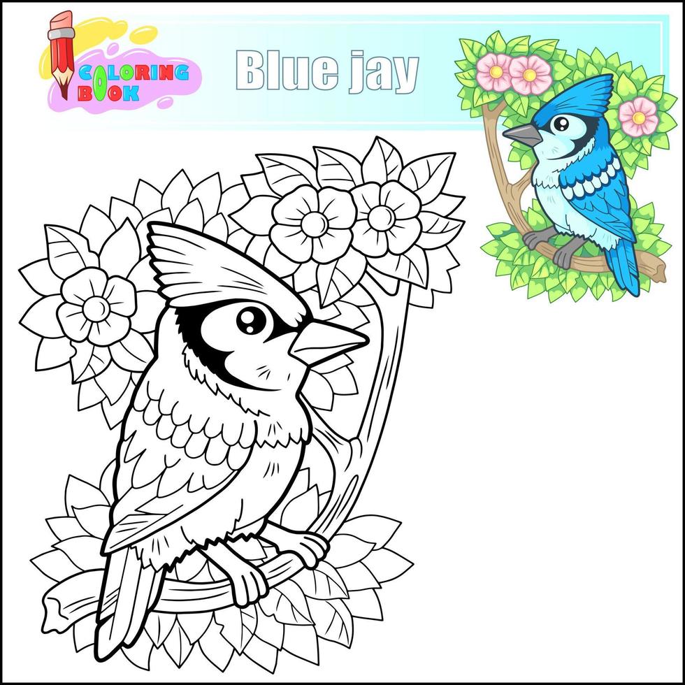 mignonne dessin animé oiseau bleu geai, coloration livre vecteur