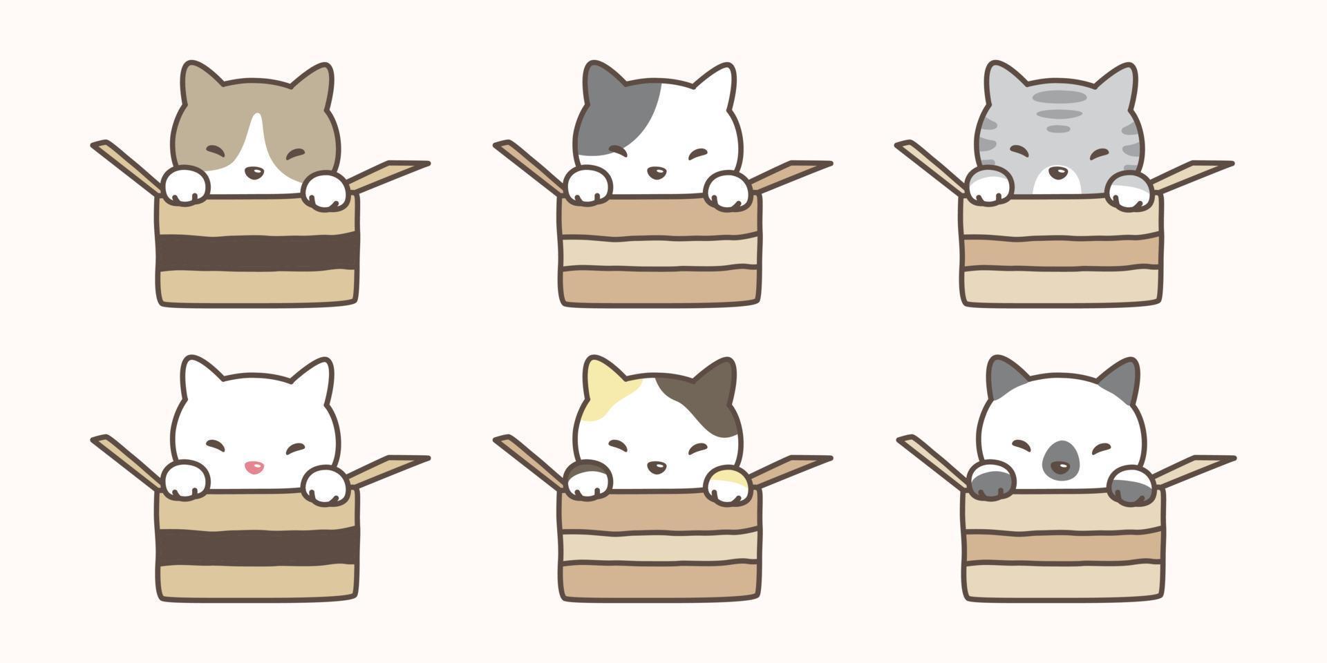 chat vecteur icône chaton personnage dessin animé boîte illustration griffonnage