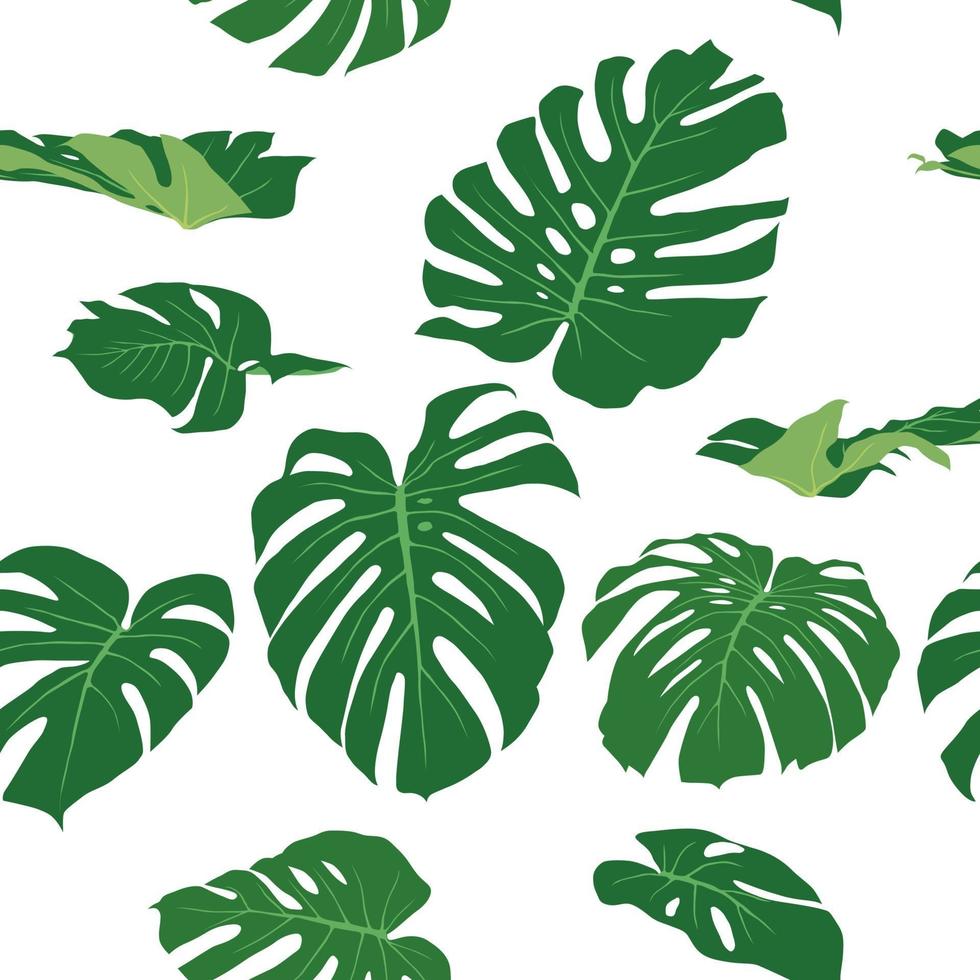 motif de feuilles de verdure sur le vecteur graphique illustration