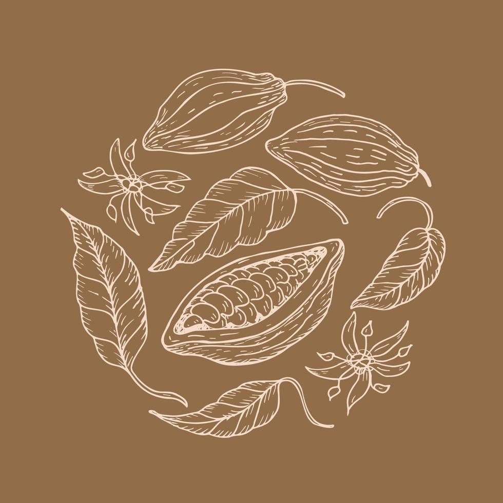 cacao. main dessin cacao haricots, esquisser de feuilles, fleurs et cacao arbre. biologique produit. griffonnage esquisser pour café, boutique, menu. les pièces de les plantes. pour étiqueter, logo, emblème, symbole.vecteur illustration vecteur