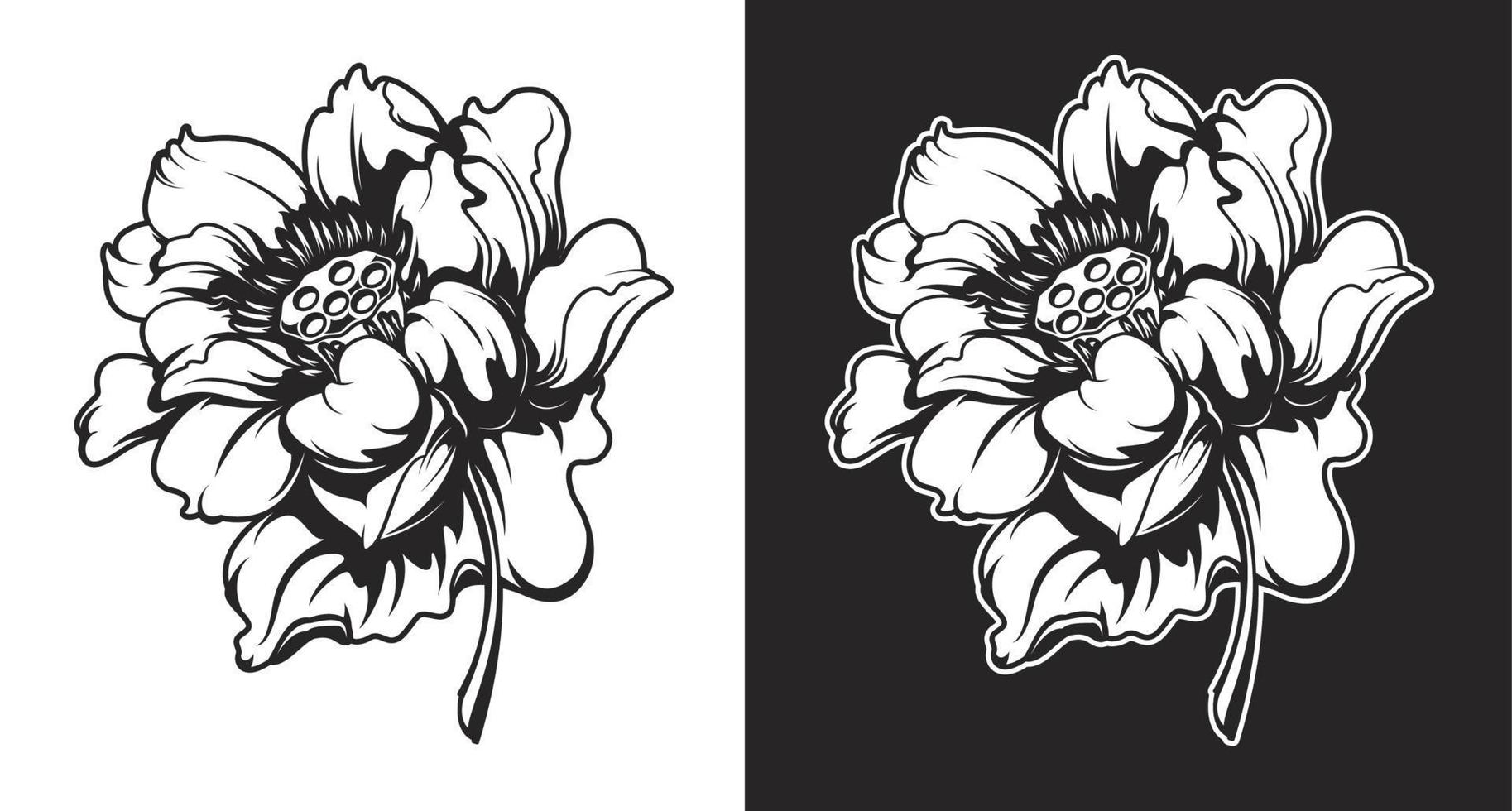 noir et blanc vecteur des illustrations de lotus fleurs