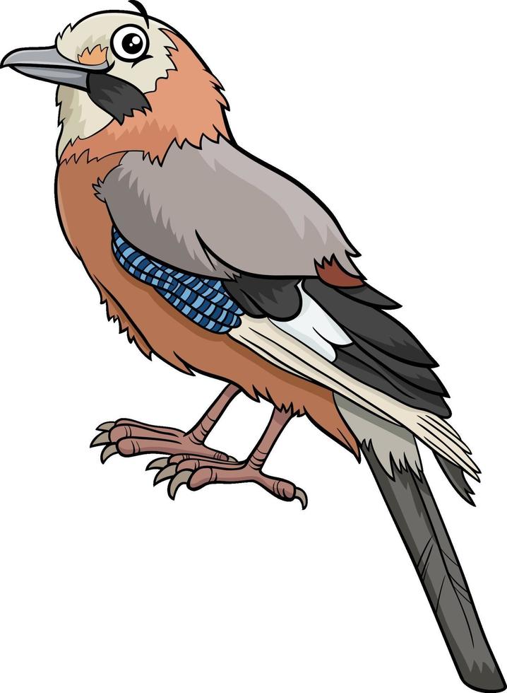 dessin animé geai oiseau personnage animal comique vecteur