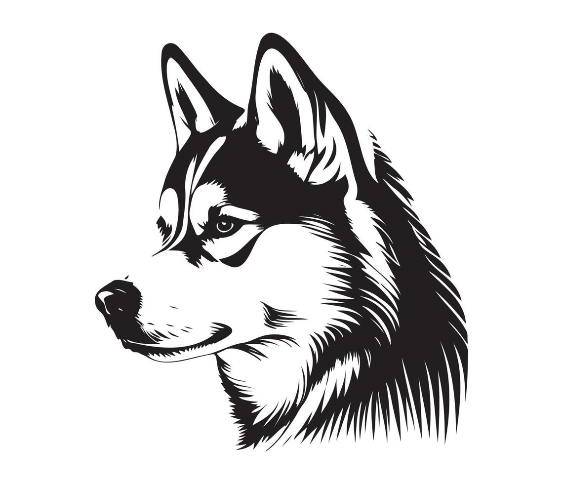 sibérien rauque affronter, silhouette chien affronter, noir et blanc sibérien rauque vecteur