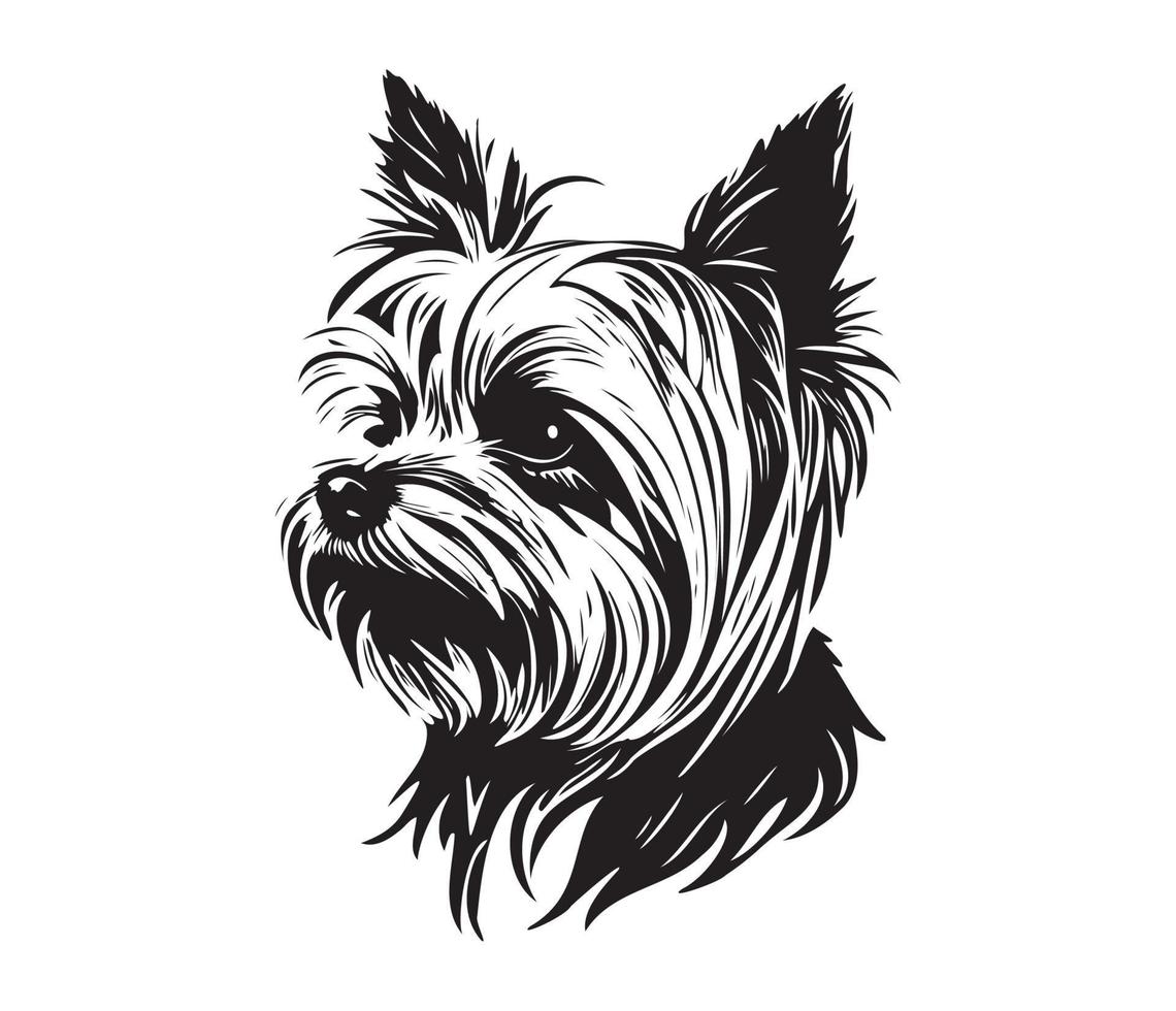 Yorkshire terrier affronter, silhouette chien affronter, noir et blanc Yorkshire terrier vecteur