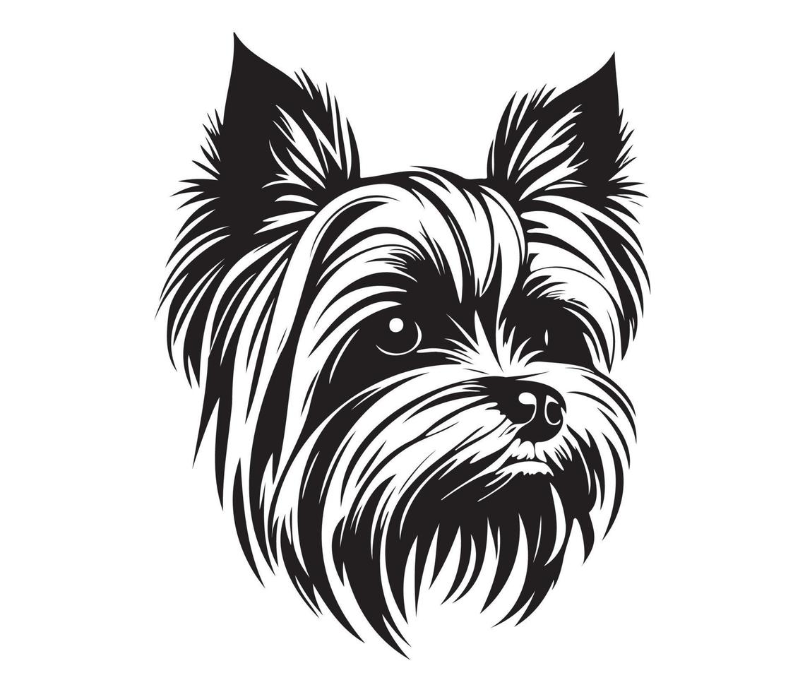 Yorkshire terrier affronter, silhouette chien affronter, noir et blanc Yorkshire terrier vecteur