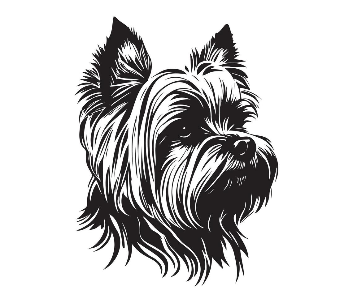 Yorkshire terrier affronter, silhouette chien affronter, noir et blanc Yorkshire terrier vecteur