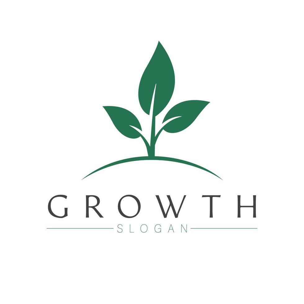 croissance vecteur logo conception. plante logotype. jardinage et agriculture logo modèle.