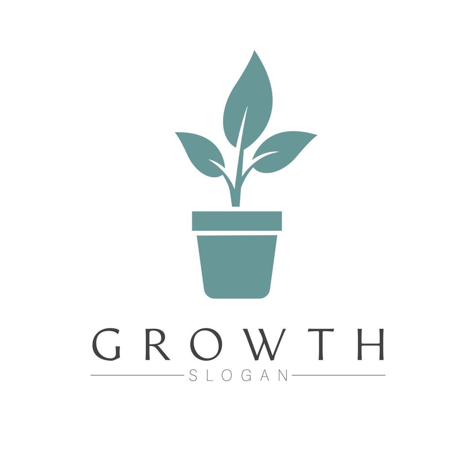 croissance vecteur logo conception. plante dans pot logotype. jardinage logo modèle.