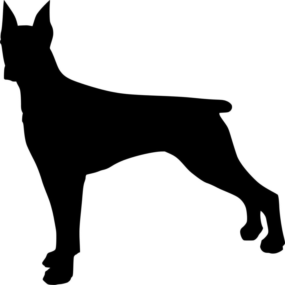 vecteur silhouette de chien sur blanc Contexte